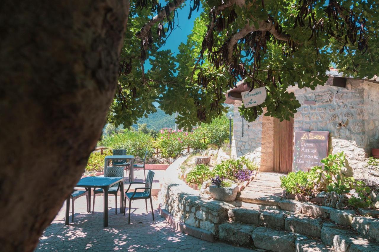 B&B La Scapola Mattinata Exterior photo