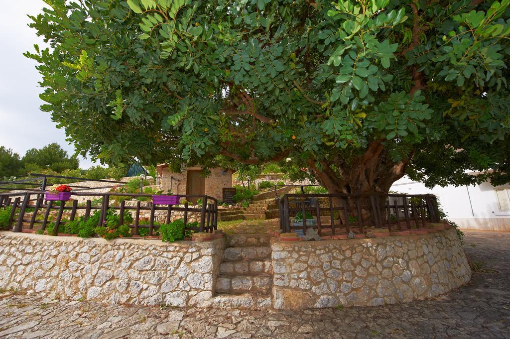 B&B La Scapola Mattinata Exterior photo