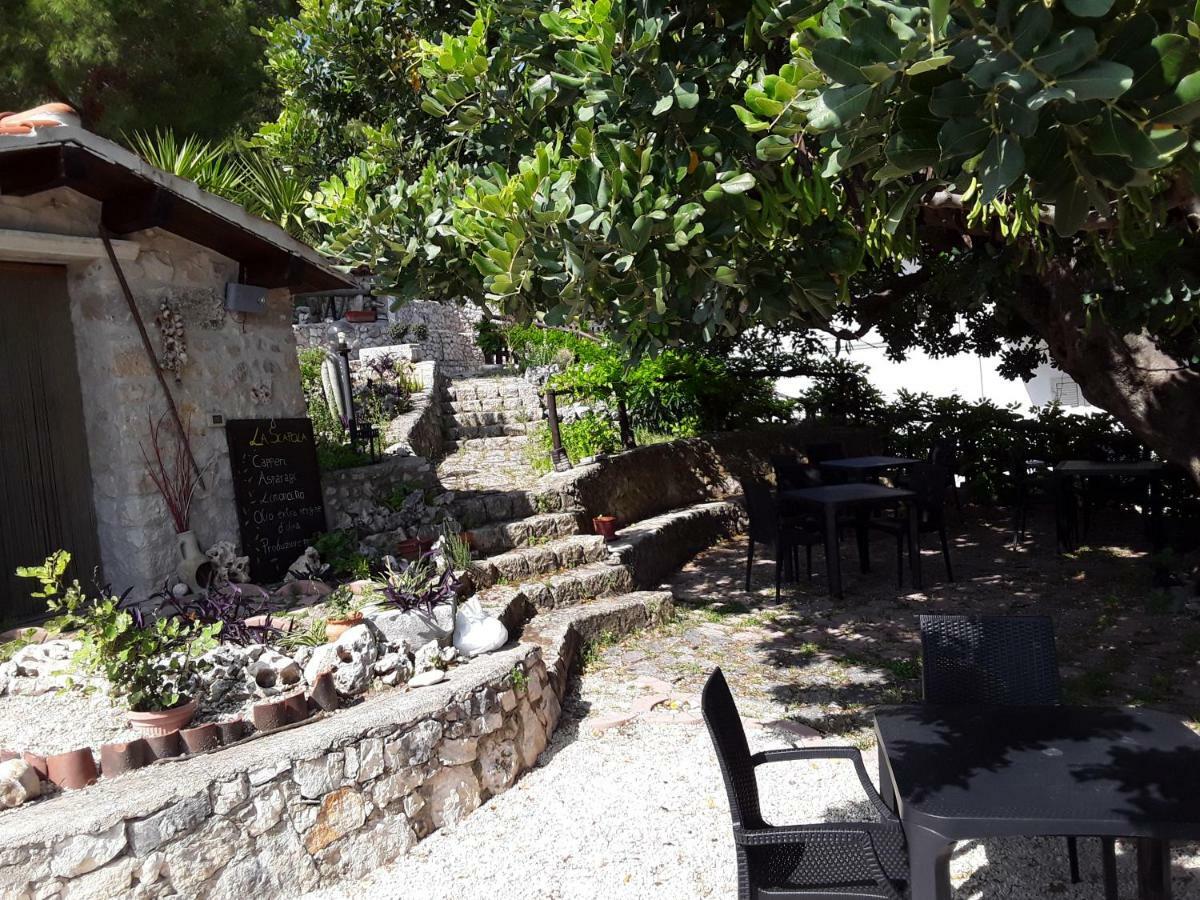 B&B La Scapola Mattinata Exterior photo